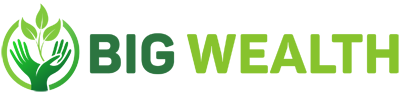 Bigwealth Logo